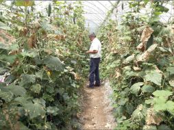 Virtual. El objetivo es intercambiar informacion sobre ciencias de la salud y agroindustria.  /