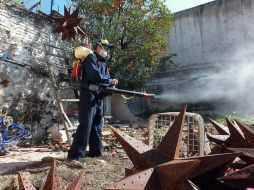 A nivel nacional Jalisco ocupa el tercer lugar en número de casos por dengue. ARCHIVO /