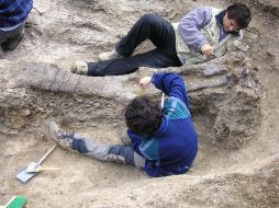 Los científicos creen que el Anzu tenía garras largas y afiladas, y era omnívoro. ARCHIVO /