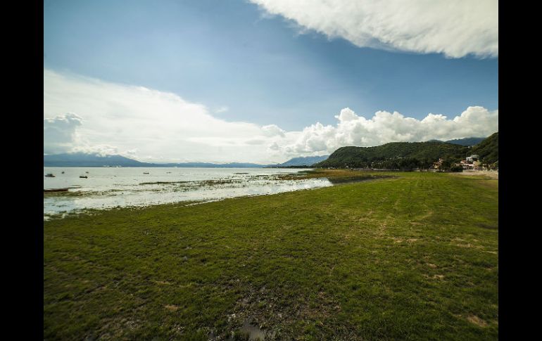 Se pronosticó que para 2016 el Lago de Chapala presentaría un almacenamiento del orden de los mil 400 Mm3. ARCHIVO /