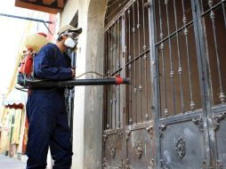 Especialistas coinciden en la importancia que la población coadyuve para evitar en un futuro la presencia de casos de dengue. ARCHIVO /