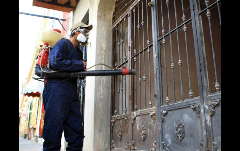 Especialistas coinciden en la importancia que la población coadyuve para evitar en un futuro la presencia de casos de dengue. ARCHIVO /