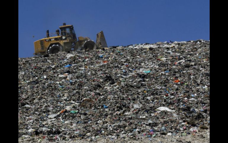 Aún no existe un diagnóstico claro respecto al daño ambiental que la serie de anomalías en que ha incurrido Picachos. ARCHIVO /