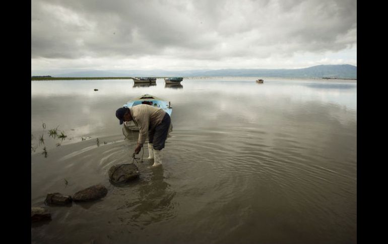 La reducción en el nivel del lago traería como consecuencia una mayor concentración de contaminantes.  /