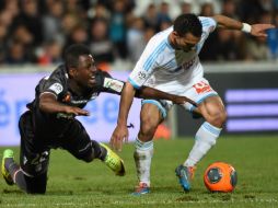 Los Osos están despidiéndose de la Liga 1 de Francia con varios descalabros. AFP /