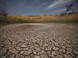 El PEACC estima que Jalisco sufrirá los impactos de una aumento en las temperaturas extremas. ARCHIVO /