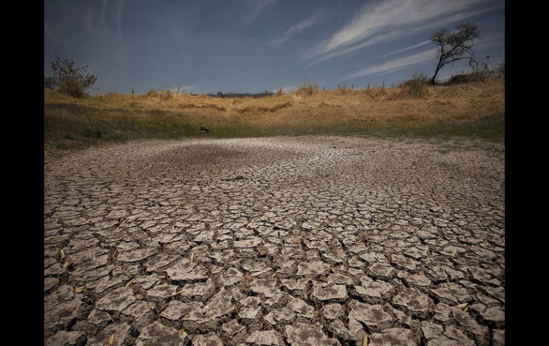 El PEACC estima que Jalisco sufrirá los impactos de una aumento en las temperaturas extremas. ARCHIVO /