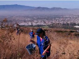 Extra había plantado cerca de 500 árboles en las inmediaciones del Santuario de Los Mártires, en el Cerro del Tesoro.  /