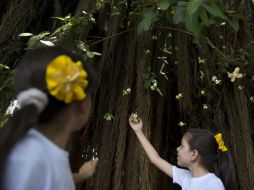 Niñas juegan en el jardín de la casa donde nació García Márquez. Los colombianos quieren hacer su propio homenaje al escritor.  /