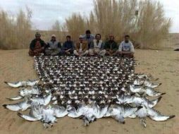 Fahd bin Sultan habría cazado a las aves 'avutardas hubara' durante una visita a un safari en Pakistán. TOMADA DE @Mark_ArabicMark  /