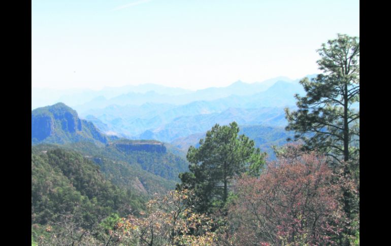 Al natural. Bella panorámica de la Sierra Madre desde El Espinazo del Diablo.  /