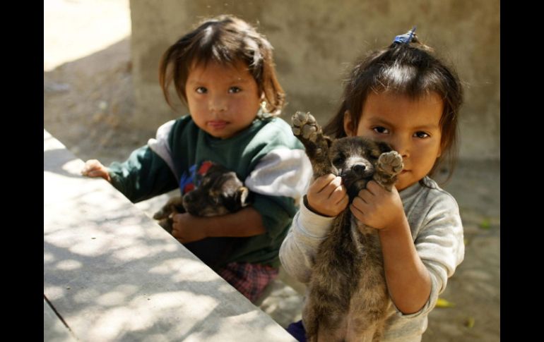 El DIF cuenta con la Ayuda alimentaria directa, que canaliza a grupos marginados en desnutrición. ARCHIVO /