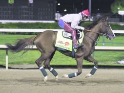 ''California Chrome'' ayer durante el entrenamiento con el jinete William Delgado en Churchill Downs. AP /