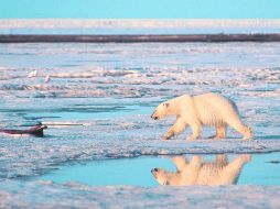 Panorama. Sin la adopción de prontas acciones, el panorama en las décadas próximas será de condiciones climáticas extremas. EFE /