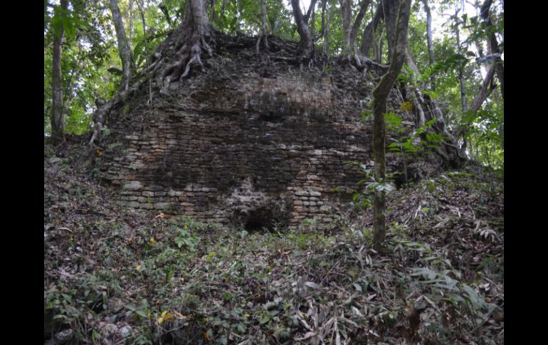 Zona arqueológica maya de 34 hectáreas y al menos seis grupos arquitectónicos ocultos fueron encontrados en la selva de Quintana Roo. NTX /