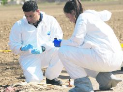 Peritos analizan una escena del crimen. La mayor cantidad de desplazados sería del Norte del país  /