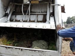 Para evitar afectaciones por el relleno, procurarán la separación de basura para reciclar residuos inorgánicos y tratar los orgánicos. ARCHIVO /