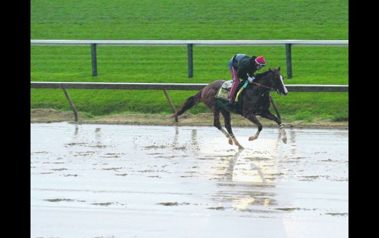 ''California Chrome'' llega a Preakness con cinco victorias consecutivas. AFP /