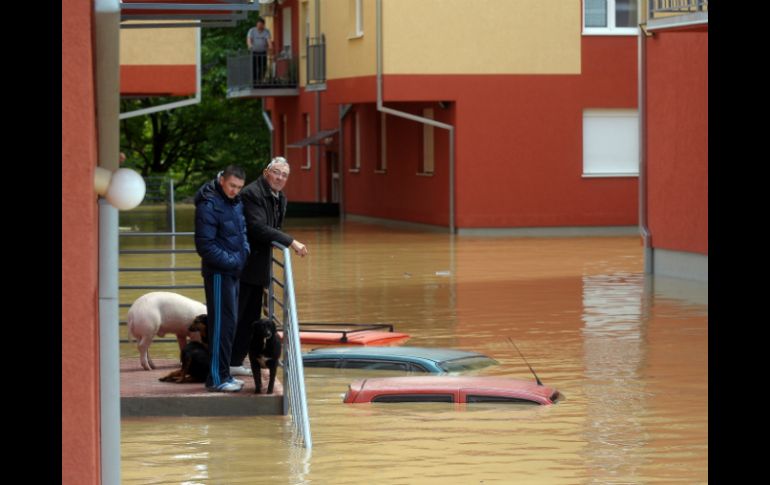 Ciudadanos de Serbia esperan su evacuación frente a inundaciones que alcanzan a cubrir los automóviles. AFP /