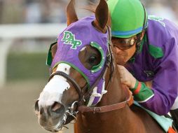 El potro California Chrome, montado por el mexicano Víctor Espinoza, usó las tiritas en su racha de seis victorias. AP /