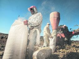 La actividad primaria experimentó un decrecimiento en el primer trimestre de 2014.  /