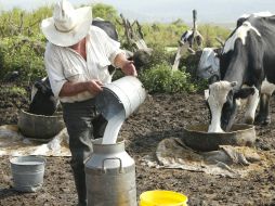 'Ganaderos que tenían 100 vacas, hoy tienen 15 ó 20, al rato van a acabar con ninguna', dice el presidente de FNPCL. ARCHIVO /