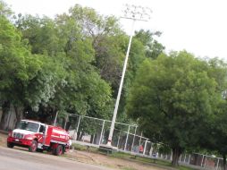 Bomberos de Guadalajara acudieron al lugar para eliminar a la colonia de insectos.  /