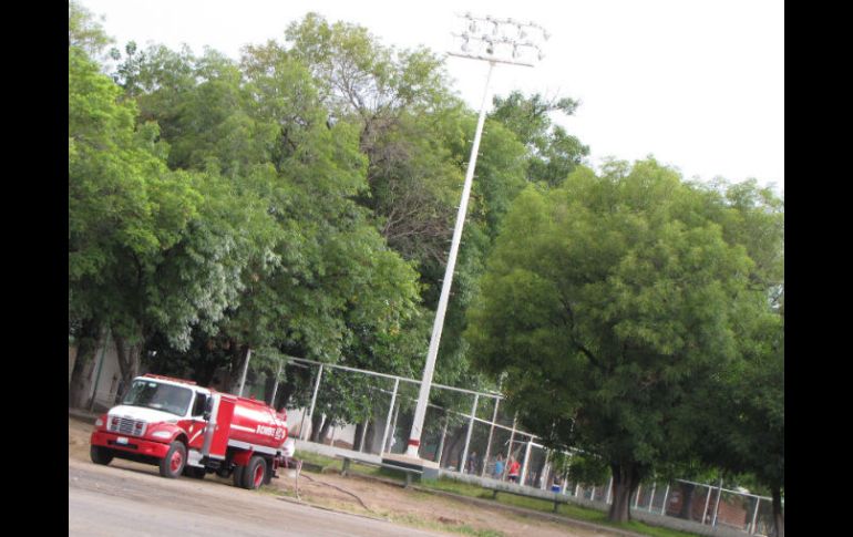 Bomberos de Guadalajara acudieron al lugar para eliminar a la colonia de insectos.  /