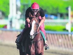 'California Chrome', con la monta de Willie Delgado, completó su última práctica el viernes al galopar dos millas en Belmont Park. AFP /