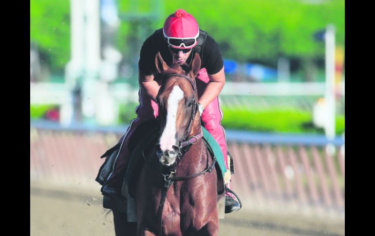 'California Chrome', con la monta de Willie Delgado, completó su última práctica el viernes al galopar dos millas en Belmont Park. AFP /