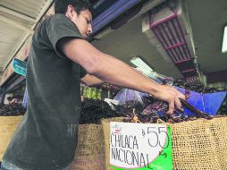 La denominación del chile de árbol de Yahualica cubriría principalmente Los Altos de Jalisco.  /