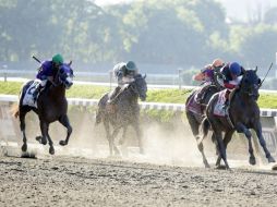 Californi Chrome terminó en la quinta posición en la carrera de Belmont. EFE /