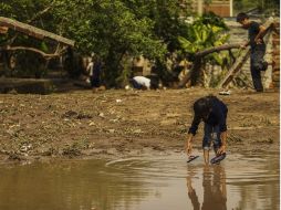 Afirman que en el país hay 11.7 millones de personas en pobreza extrema sin capacidad para satisfacer sus necesidades alimentarias. ARCHIVO /