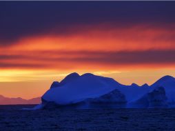 El deshielo provoca la pérdida de diversas especies en la Península Antártica. ARCHIVO /