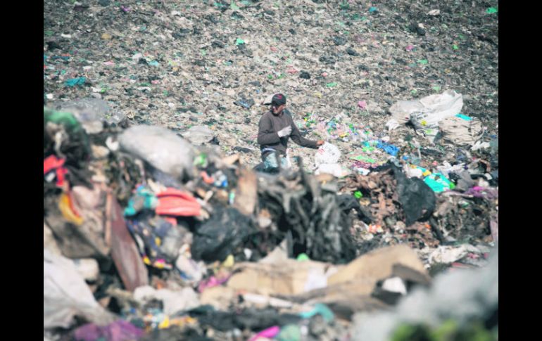 Un trabajador en el vertedero de Zapopan.  /