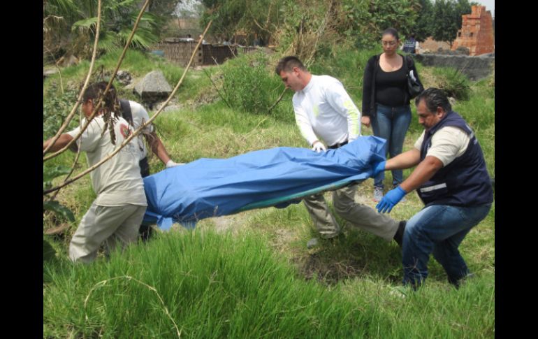 Se garantiza que los estudios fueron realizados por peritos en materia forense de la División Científica de la Policía Federal. ARCHIVO /