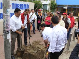 Ramiro Hernández asegura que los árboles no causarán problemas a los vecinos.  /