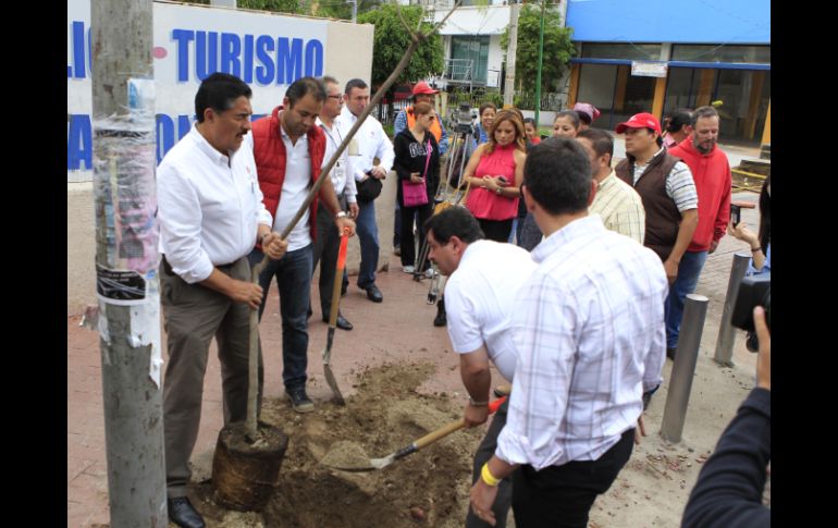 Ramiro Hernández asegura que los árboles no causarán problemas a los vecinos.  /