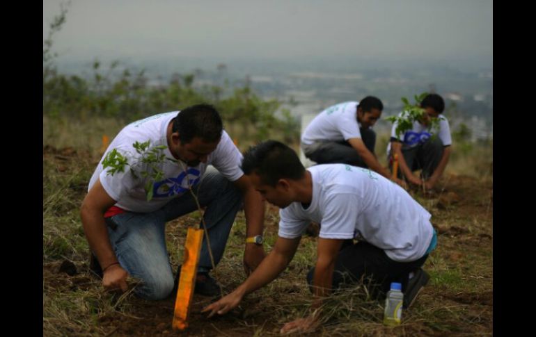 Los niños fueron los más entusiasmados por sumarse a la labor de recuperación ambiental.  /