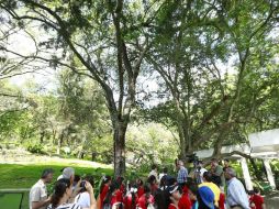 Este 10 de julio se celebra el Día del árbol, fecha que se festejó en el parque Colomos. ESPECIAL /