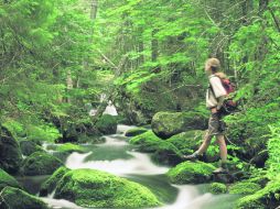 Sublime. Las vistas que ofrece Quebec parecen sacadas de escenarios de fantasía. ESPECIAL /