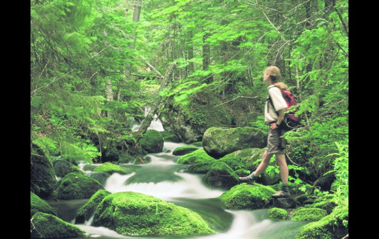 Sublime. Las vistas que ofrece Quebec parecen sacadas de escenarios de fantasía. ESPECIAL /