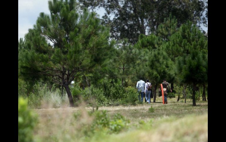 La superficie del área natural es de 36.5 hectáreas. ARCHIVO /