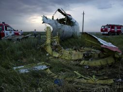 El desplome del avión de Malaysian Airlines se cobró la vida de los 298 pasajeros. AFP /