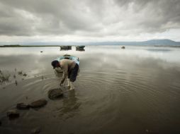 En los últimos años cinco años, el Lago de Chapala ha perdido 3.19 metros, según el Instituto de Astronomía y Meteorología. ARCHIVO /