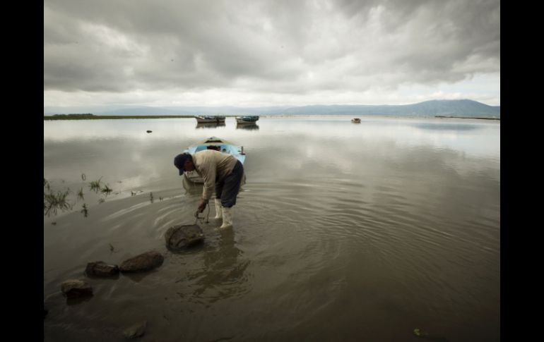 En los últimos años cinco años, el Lago de Chapala ha perdido 3.19 metros, según el Instituto de Astronomía y Meteorología. ARCHIVO /