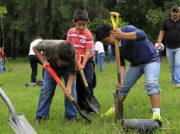 Los menores también participan en la reforestación.  /