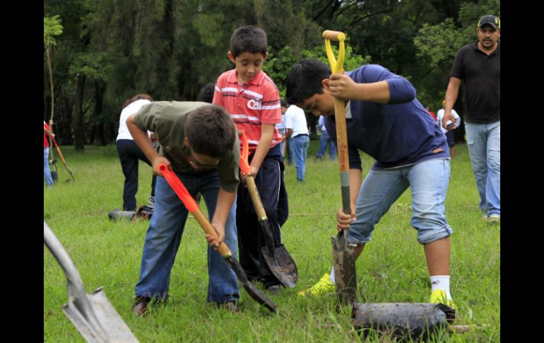 Los menores también participan en la reforestación.  /