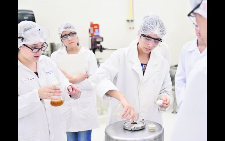 En la práctica. Los aspirantes a distintas ingenierías pusieron a prueba sus conocimientos al preparar por primera vez cerveza.  /