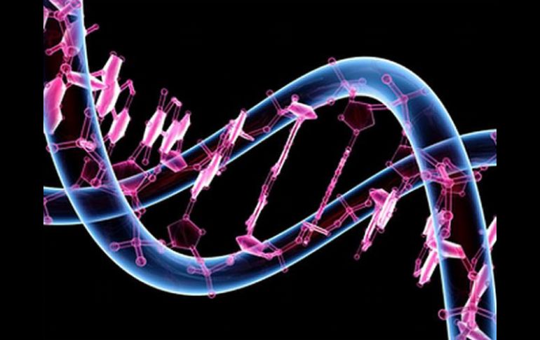 El análisis subraya que el SIDA aún es incurable debido a la integración permanente de VIH-1 en el genoma huésped. ARCHIVO /